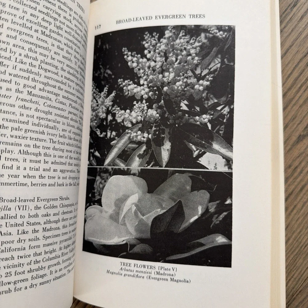 Trees and Shrubs for Pacific‎ Northwest Gardens - Paperback - VERY GOOD